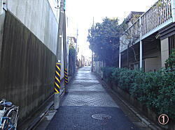 10835995.jpg