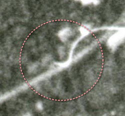 9514890.jpg