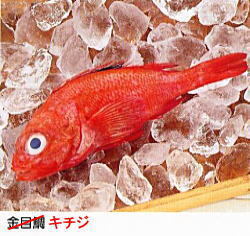 キチジ.jpg