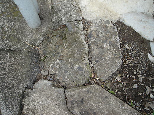 セメントの坪佐伯2.JPG