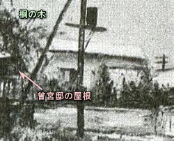セメントの坪拡大.jpg
