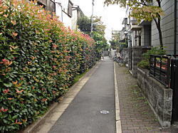 ミニ商店街3.JPG
