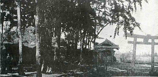 上落合浅間社大塚古墳1911.jpg