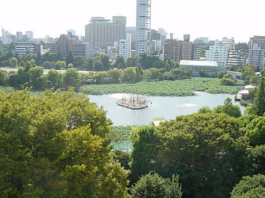 上野不忍池2.JPG