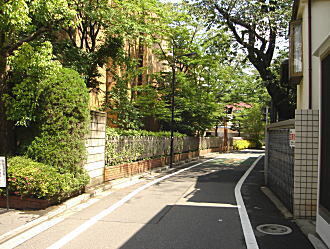 下落合363路上.JPG
