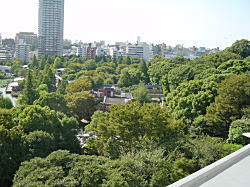 不忍池3.JPG