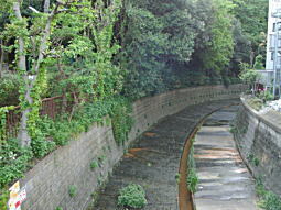 中野妙正寺川2.JPG
