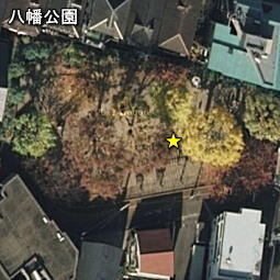 八幡公園.jpg
