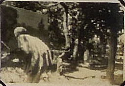 写生2_19280813.jpg