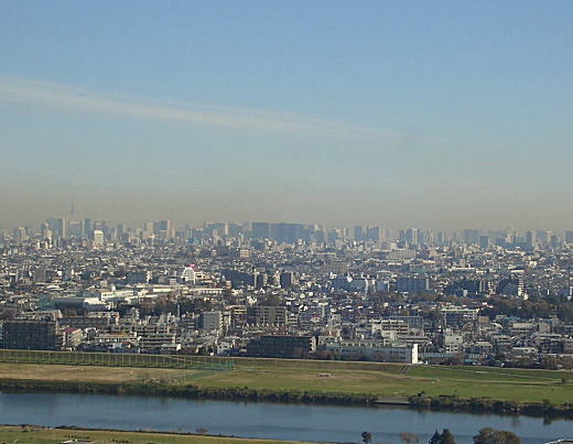 多摩川から都心を望む.jpg