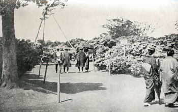 大久保百人町躑躅園.jpg