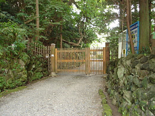 大磯のヨハンセンを諜報・監視せよ。: 落合学（落合道人）
