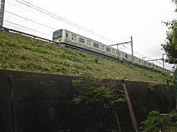山手線土手上.jpg