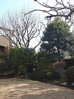崖淵3.jpg