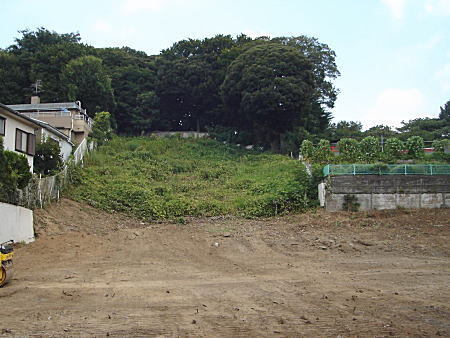 御留山バッケ1.JPG