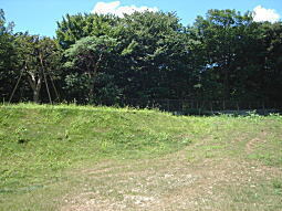 御留山バッケ2.JPG