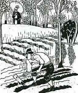新住民の農業.jpg