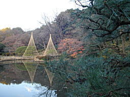 新江戸川公園.JPG