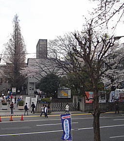 早稲田高等学院跡.jpg
