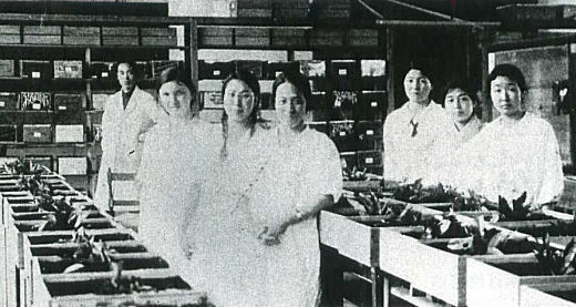 東京帝大農学部動物学教室1925.jpg