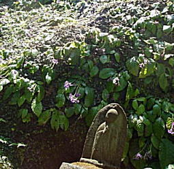 東慶寺1.jpg
