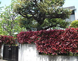 松本竣介アトリエ跡.jpg