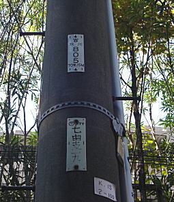 氷川線七曲支線.jpg