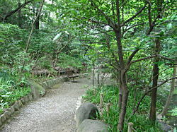 池1.jpg
