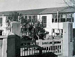 淀橋第四小学校1955.jpg