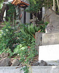 独鈷滝剣呑龍.JPG