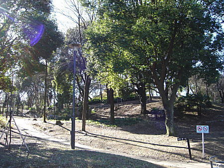 玉円峰(箱根山).jpg
