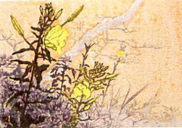 画題不明(大待宵草).jpg
