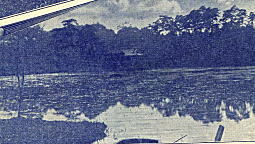 石神井公園三宝池.jpg