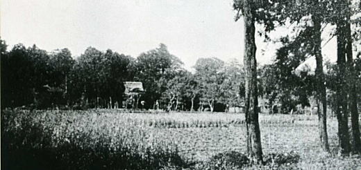 稲荷山・法明寺1890年代.jpg