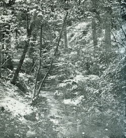 竹田助雄1.jpg