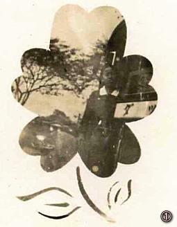 花模様写真.jpg