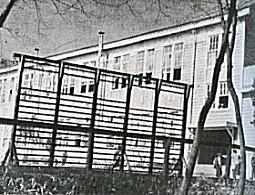 落合第四小学校1955.JPG