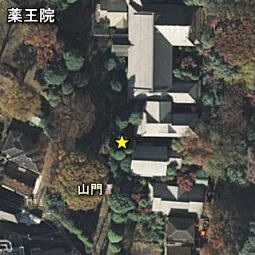 薬王院.jpg