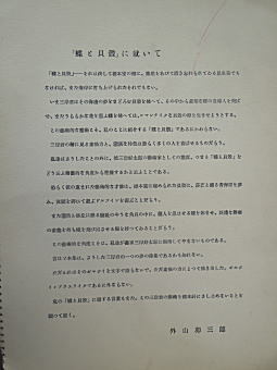 蝶と貝殻04.JPG