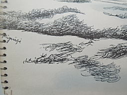 蝶と貝殻05.JPG