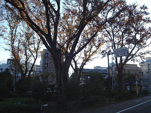 西戸山.jpg