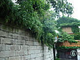 西片06.jpg