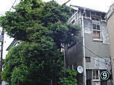 西片09.jpg