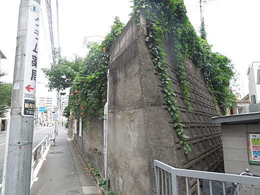 諏訪谷と聖母坂.JPG