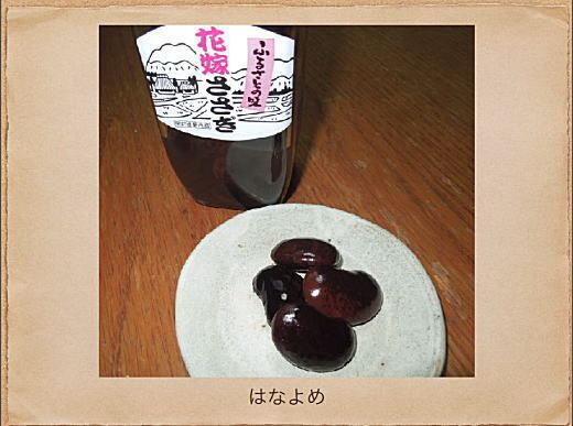 資料08.jpg