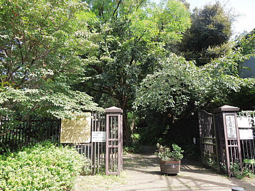 赤土斜面2.JPG