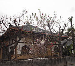金剛寺.jpg