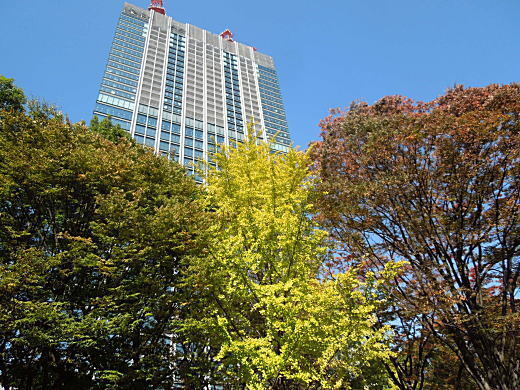 防弾土塁「三角山」付近.jpg