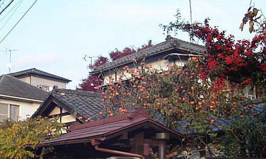 高嶺邸.jpg