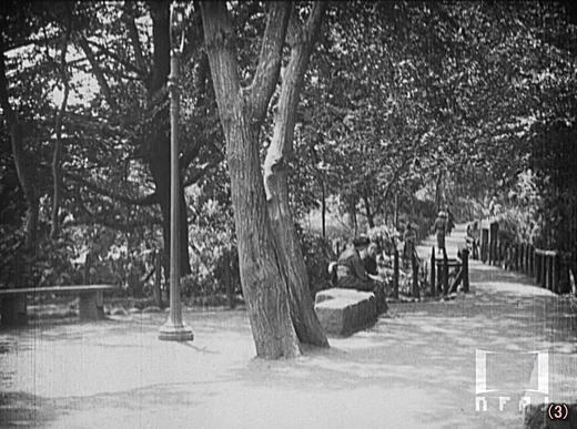3江戸川公園.jpg
